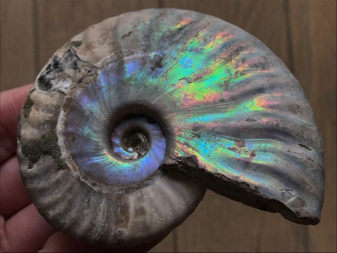 chomsky.Ramone様 リクエスト 4点 まとめ商品