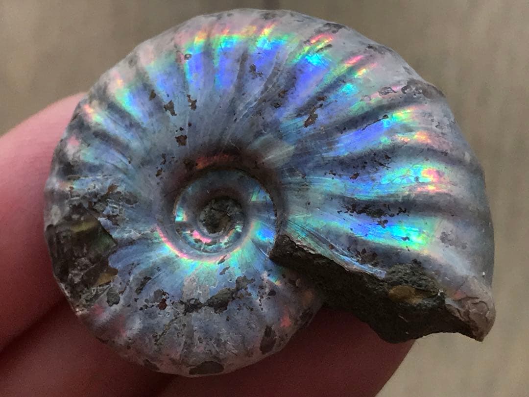 chomsky.Ramone様 リクエスト 4点 まとめ商品