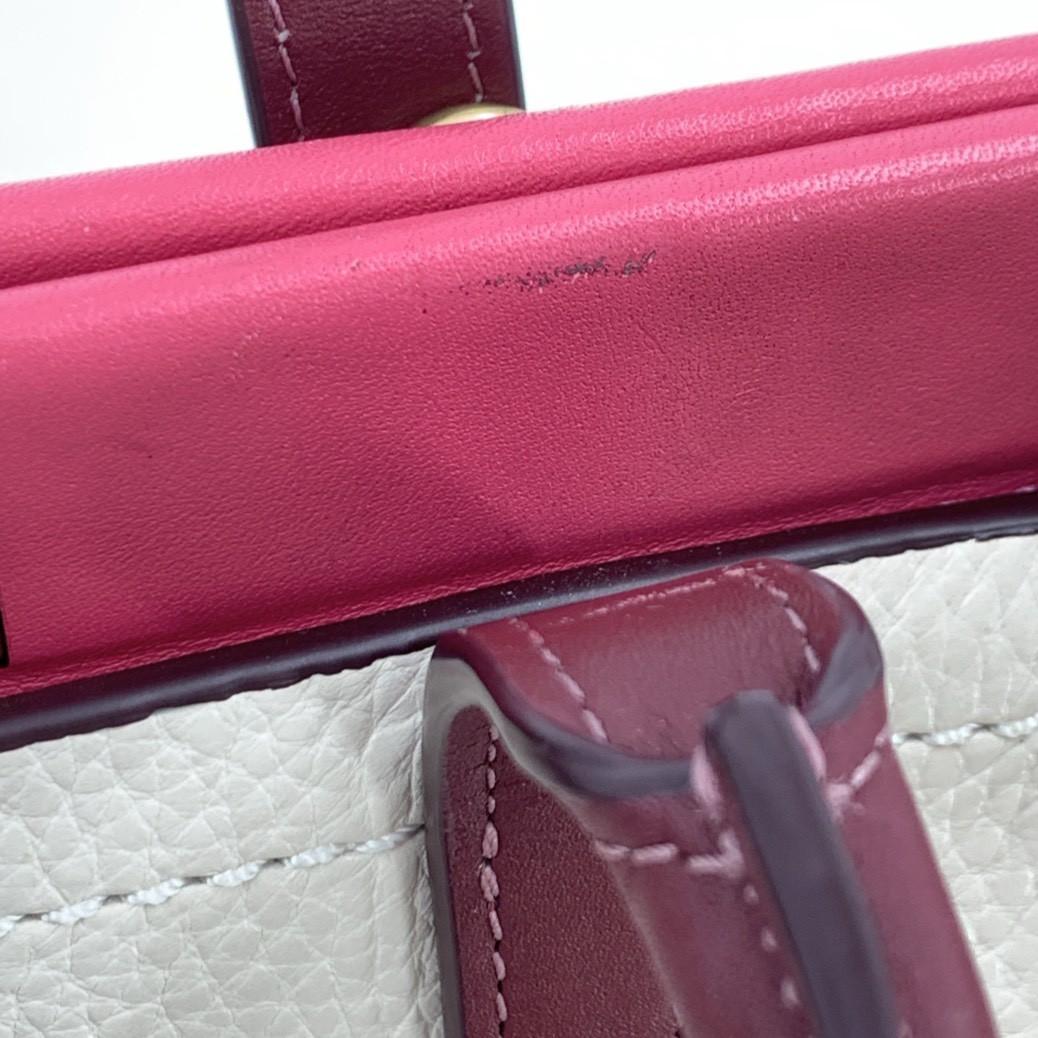 コーチ トループ キャリーオール 2way ハンドバッグ 本革 バイカラー