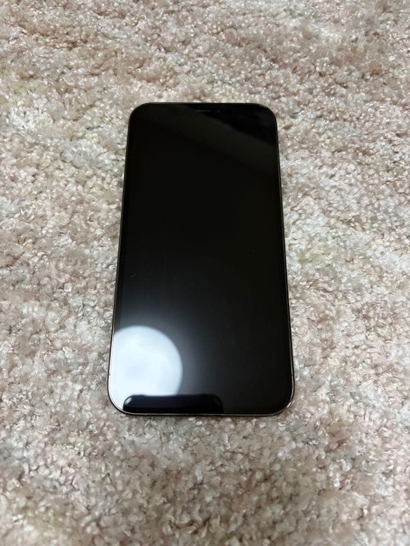 iPhone 12 Pro 256GB本体 グラファイト 未使用付属ケーブル付き