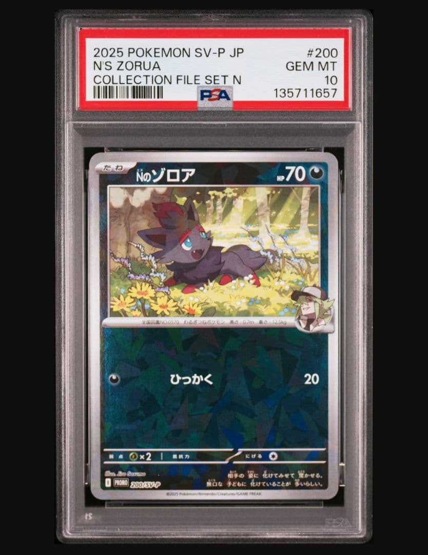 Nのゾロア SV-P 200　プロモーションカード　コレクションファイルセット