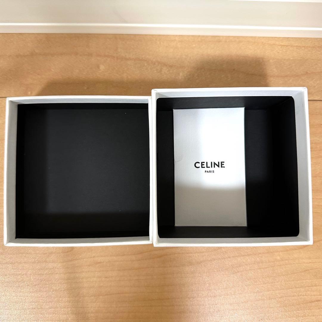 CELINE セリーヌ ラージ ヘアクロー アセテート バレッタ ヘアクリップ