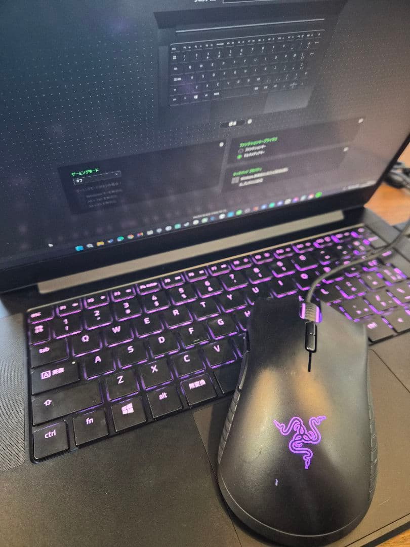 最新モデル　Razer Blade Stealth 13インチ　120hz