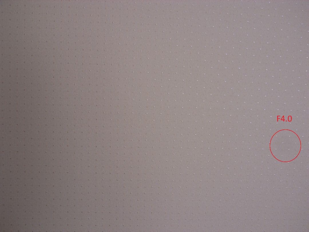 【難あり】RICOH 初代 GR DIGITAL + ワイコンGW-1