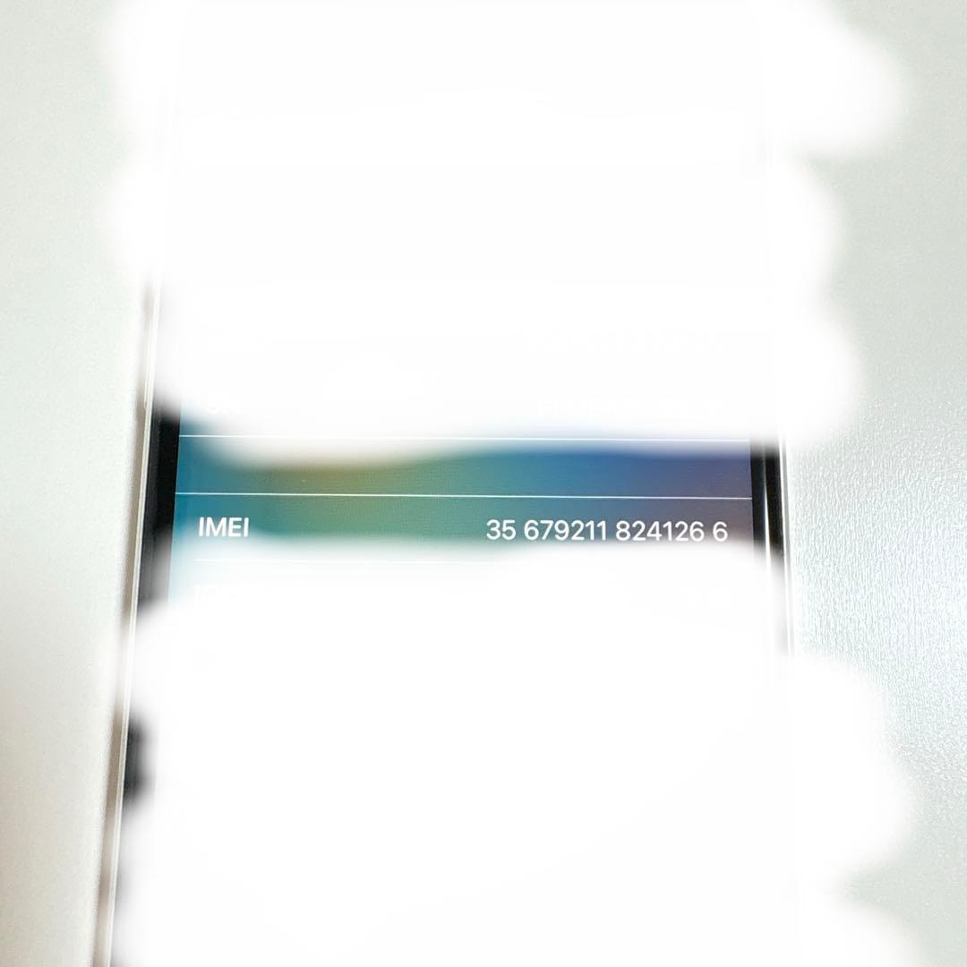 ガロン iPhone SE 64GB SIMフリー 初期化済み 動作良好