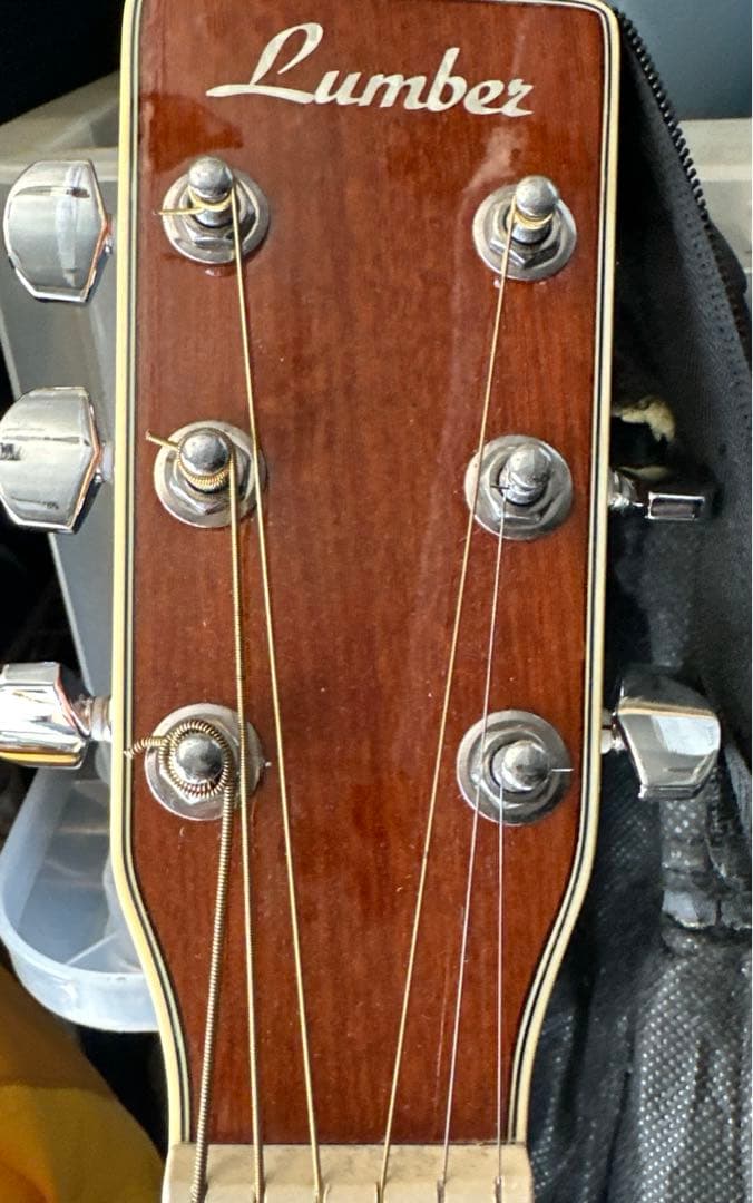 ✨✨超美品！LumberエレアコLF5ENA