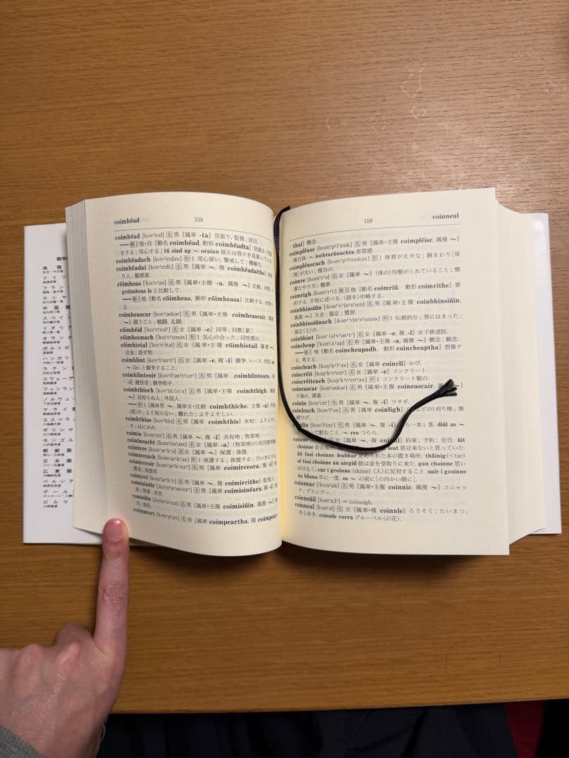 アイルランド・ゲール語辞典（値下げ交渉可）