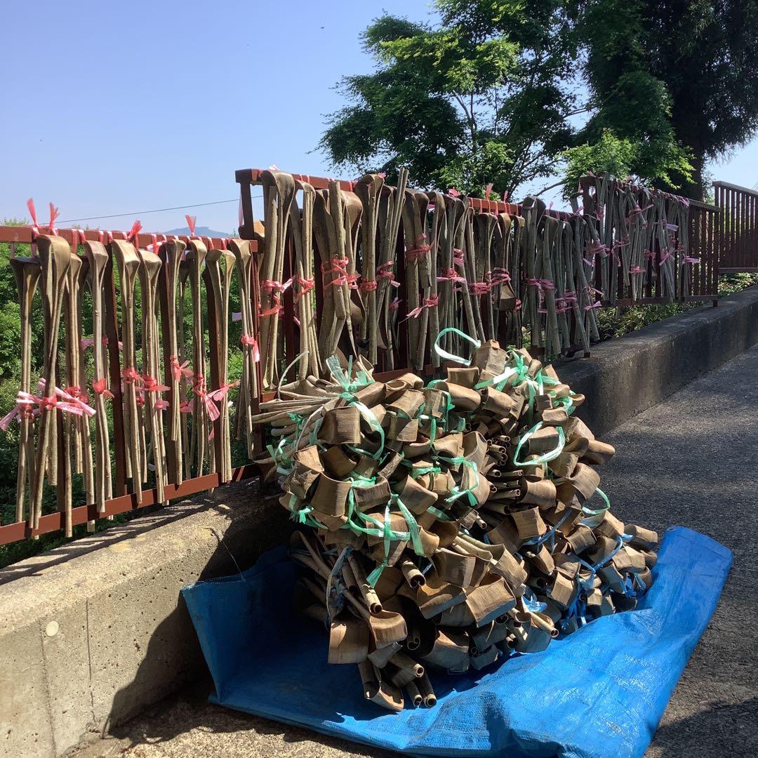 乾燥くるみ樹皮2gセット。　7-080