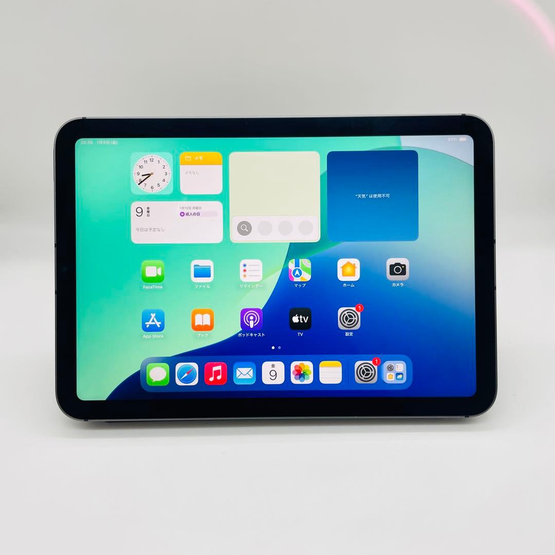 iPad mini 6 256GB SIMフリー カバー付き