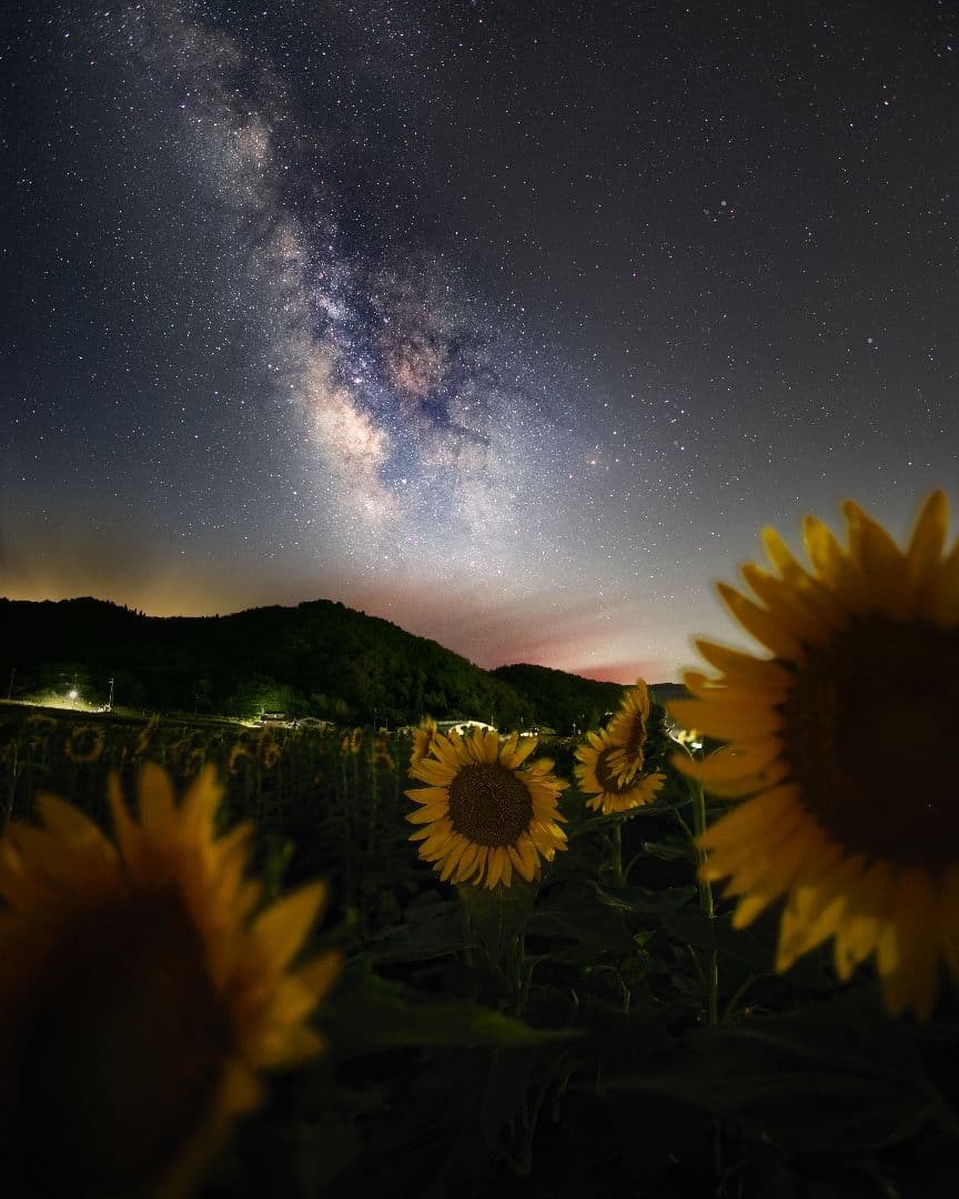 TAMRON (タムロン) SP 15-30mm F2.8 Di VC USD