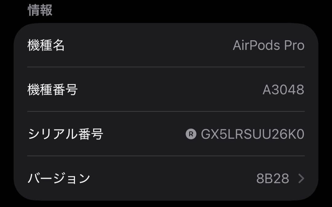 Apple AirPods Pro 第2世代 USB-C 両耳 [73]