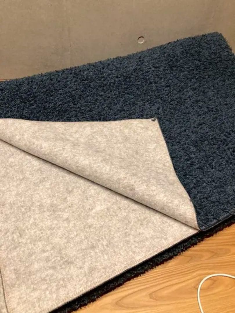 【売り切り】ニトリ カーペット ラグ ダニよけ・防炎カーペットエアープラス