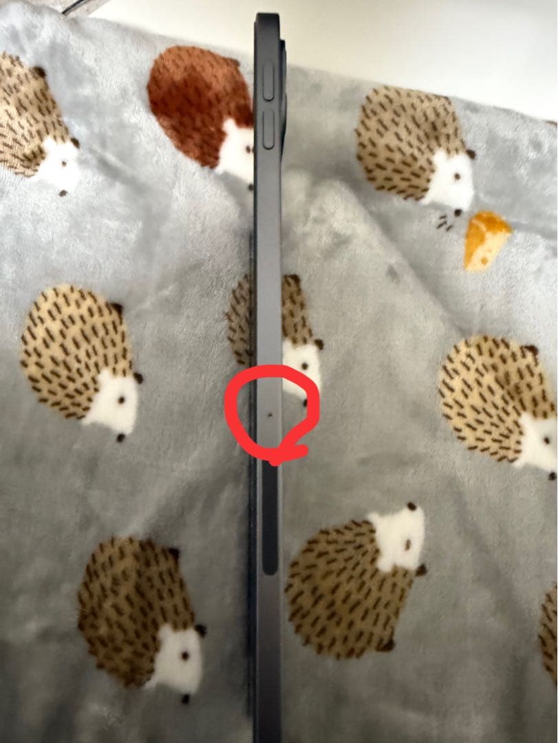 iPad Pro 2020（第二世代）128gb スペースグレー Wi-Fi