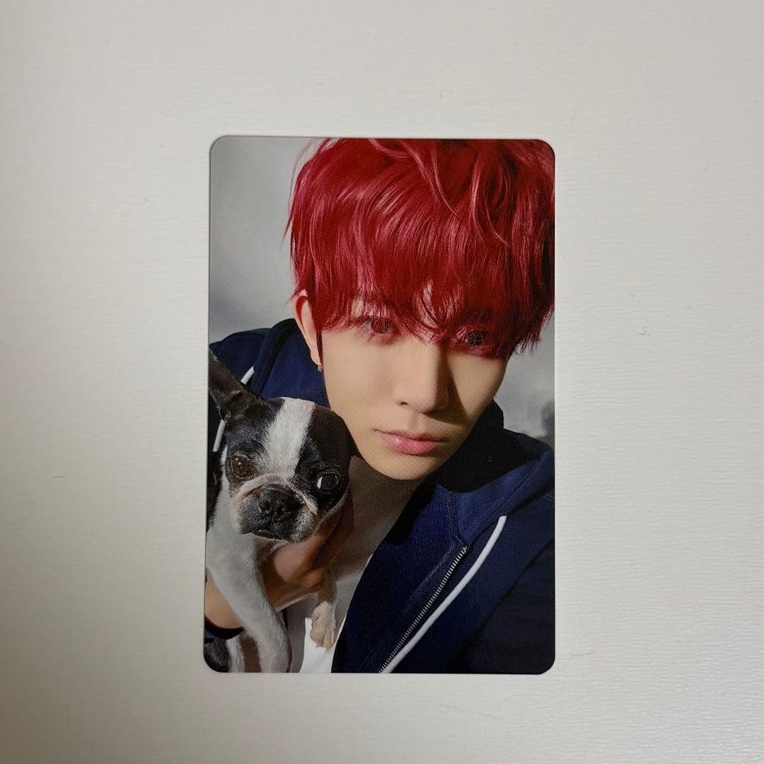 ENHYPEN 2025アンケートトレカ　ヒスン