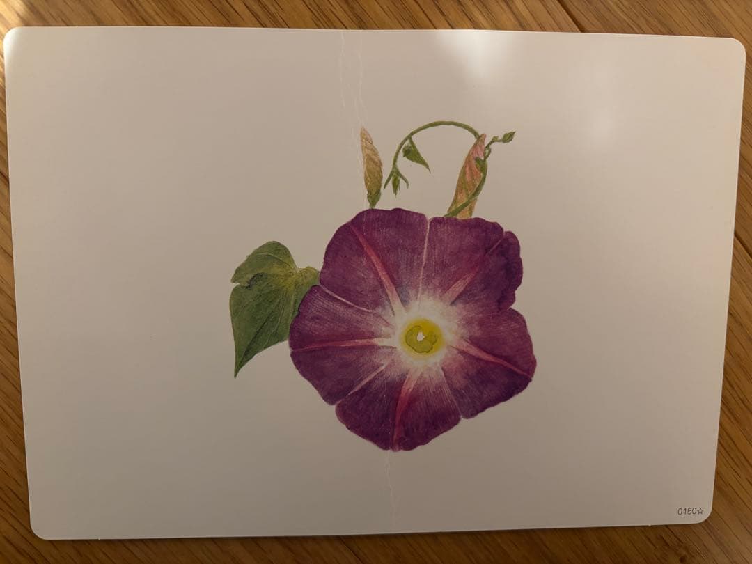 【美品　A一部、B未使用】七田式　かな絵ちゃんA.B