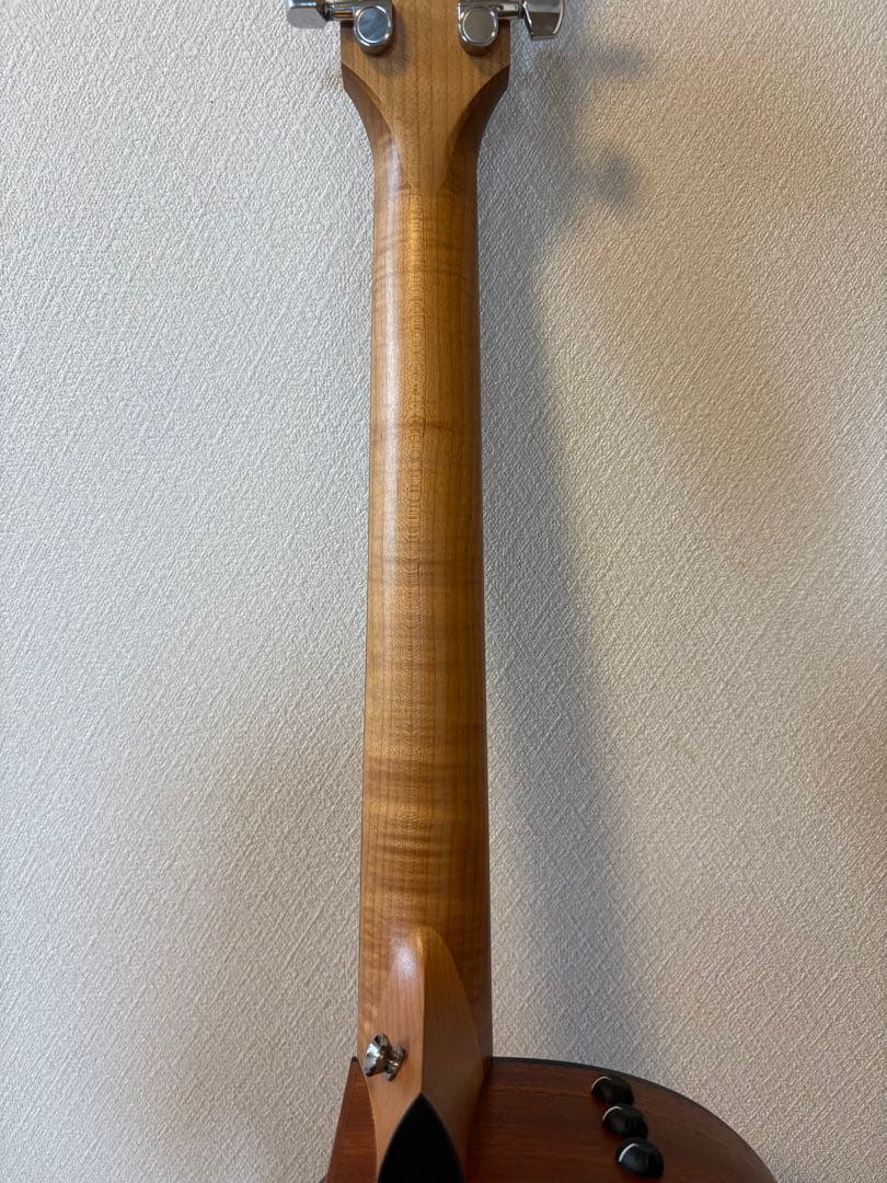 Taylor 114ce 美品　エレアコ　トラ杢 今年四月購入