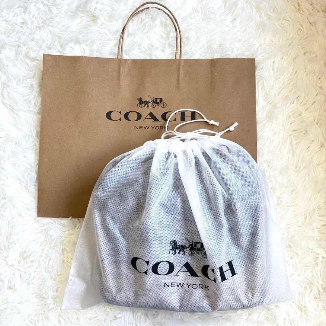 【美品】コーチ CE534ショルダーバッグ レザー 斜め掛け シグネチャー