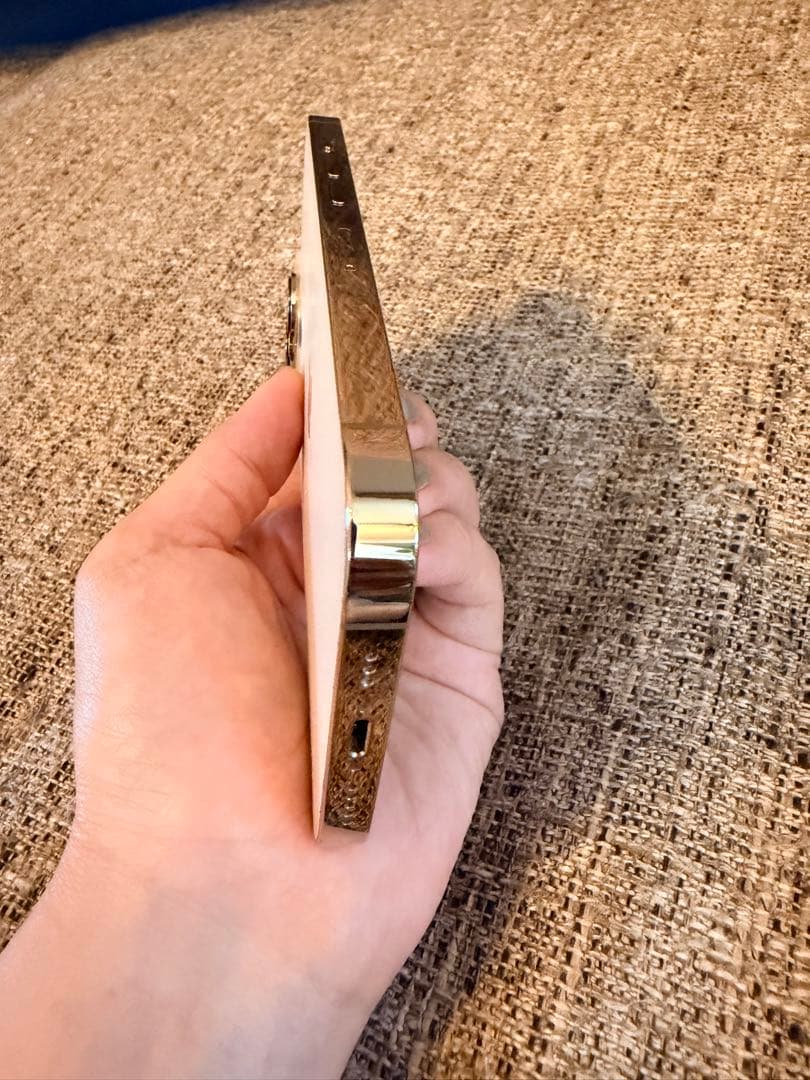 ◎値下げ◎ 美品　iPhone 13 Pro シルバー 本体　256Ｇ