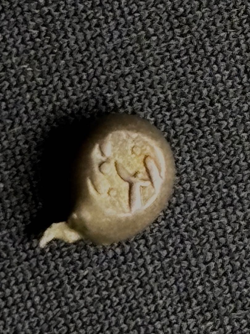 元文豆板銀 露銀 3セット