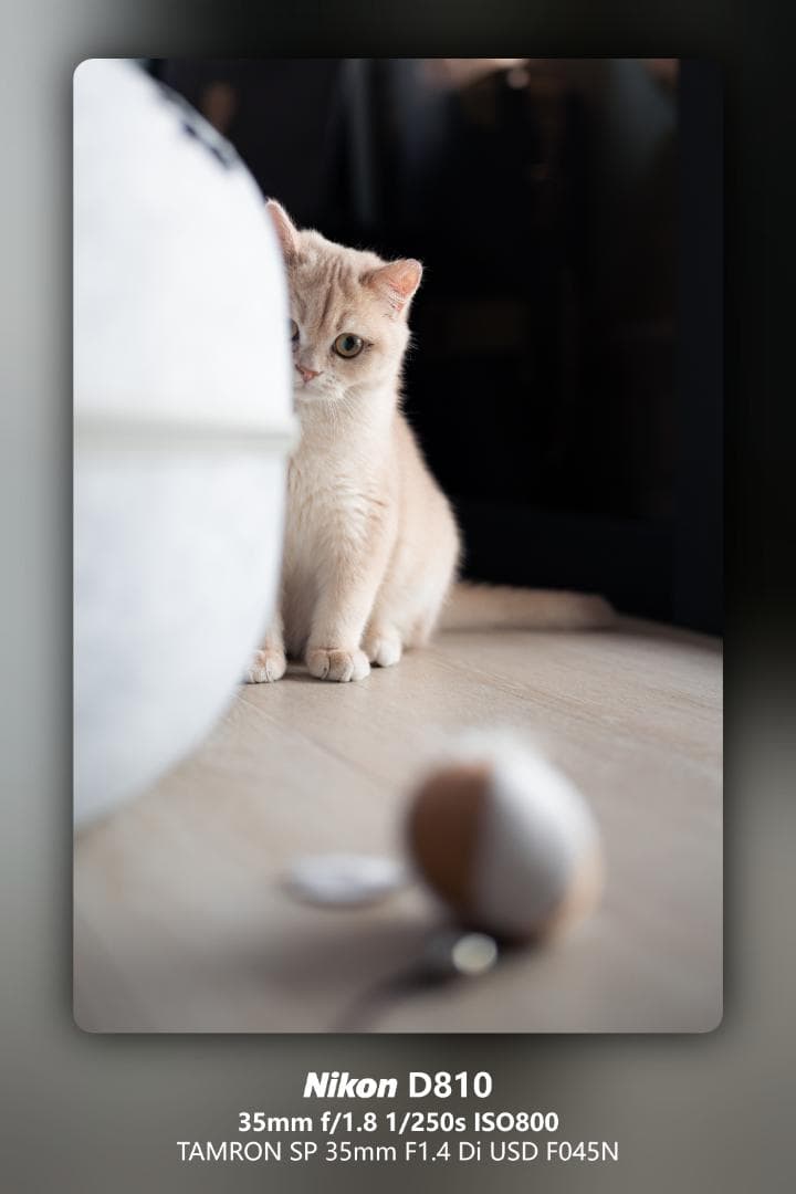 ST さん専用Nikon D810 デジタル一眼レフカメラ