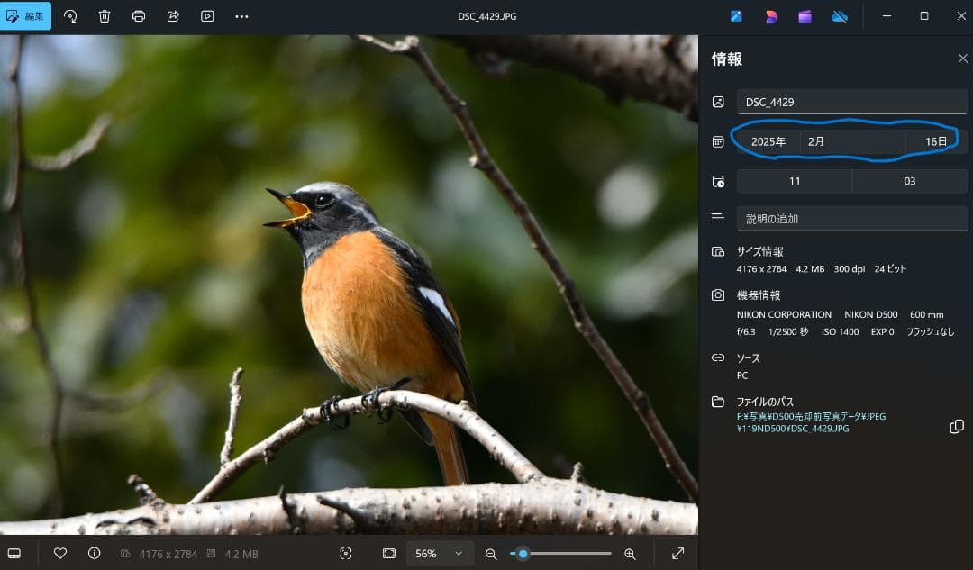 【美品】ニコン　Nikon　デジタル一眼レフカメラ　D500　ボディ