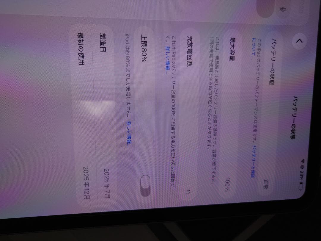seilo様用 iPad Pro m5 2025 11インチ 256GB