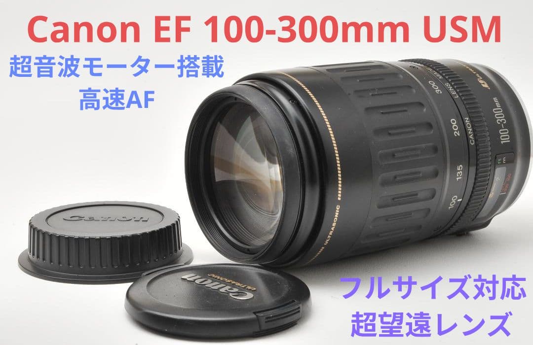 2月3日限定価格♪Canon EF 100-300mm USM