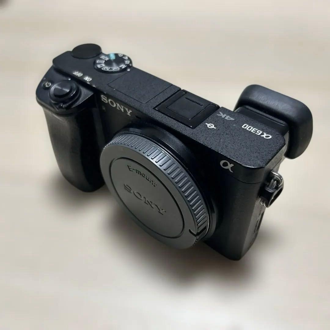 ひ*り様 SONY α6300 ミラーレスカメラ 4K動画撮影