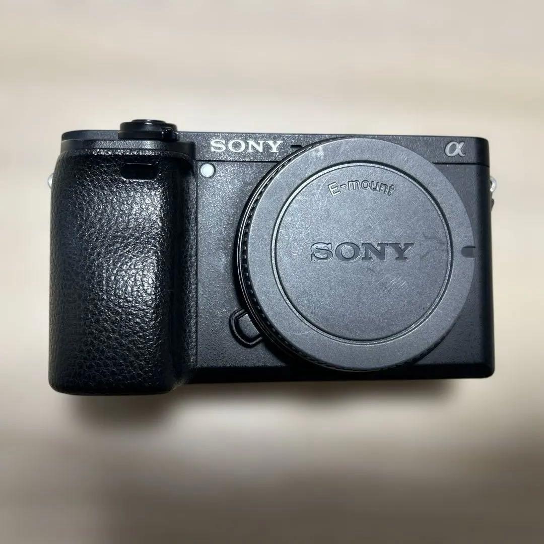 ひ*り様 SONY α6300 ミラーレスカメラ 4K動画撮影