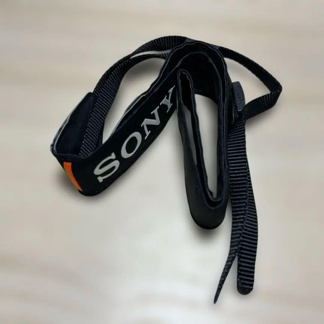 ひ*り様 SONY α6300 ミラーレスカメラ 4K動画撮影