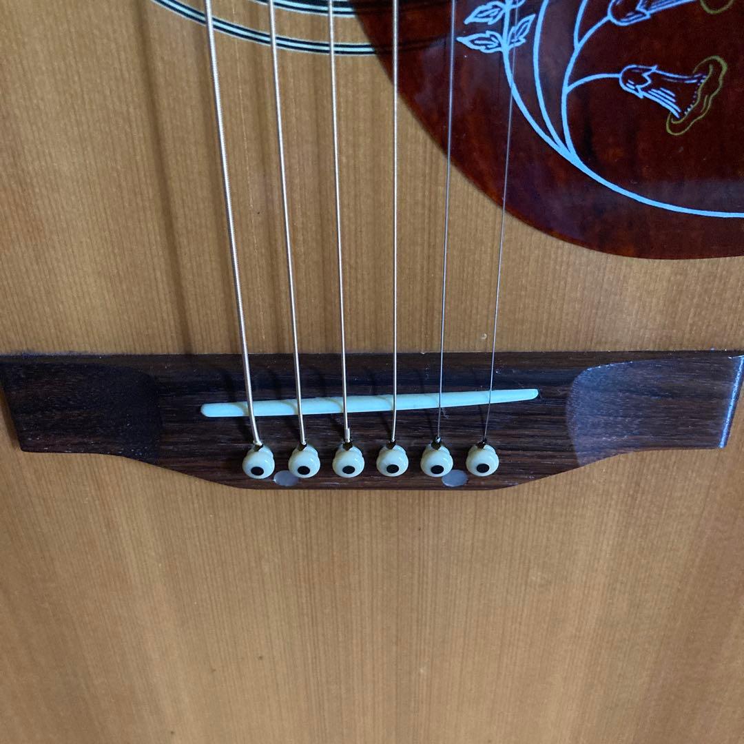 ま*ゆ様 【訳あり】Aria WH25N　ハミングバード　アリア　ソフトケース付