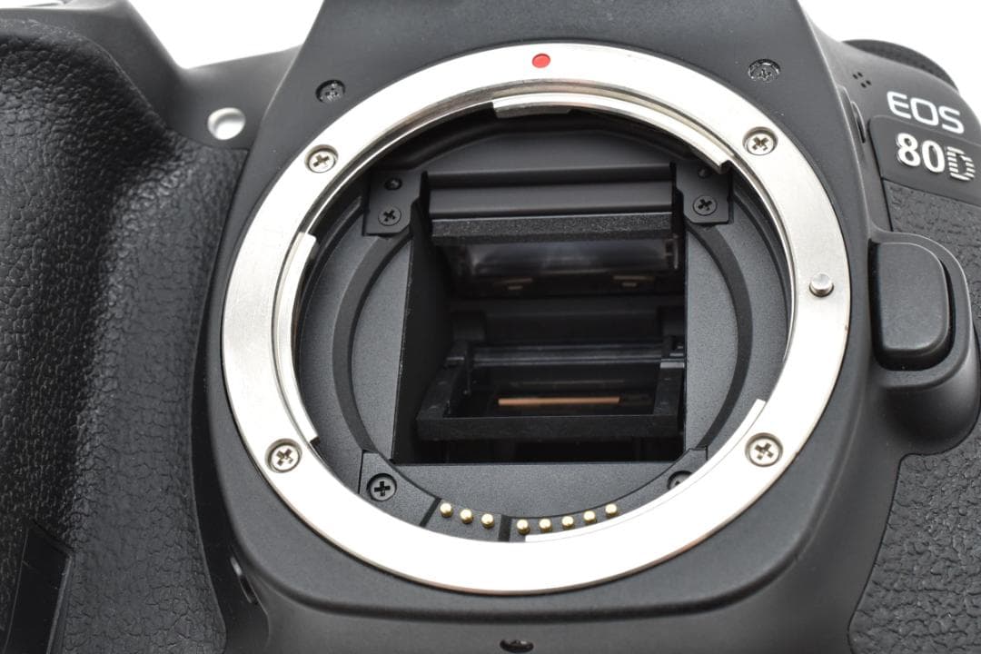 Canon キャノン EOS 80D ボディー