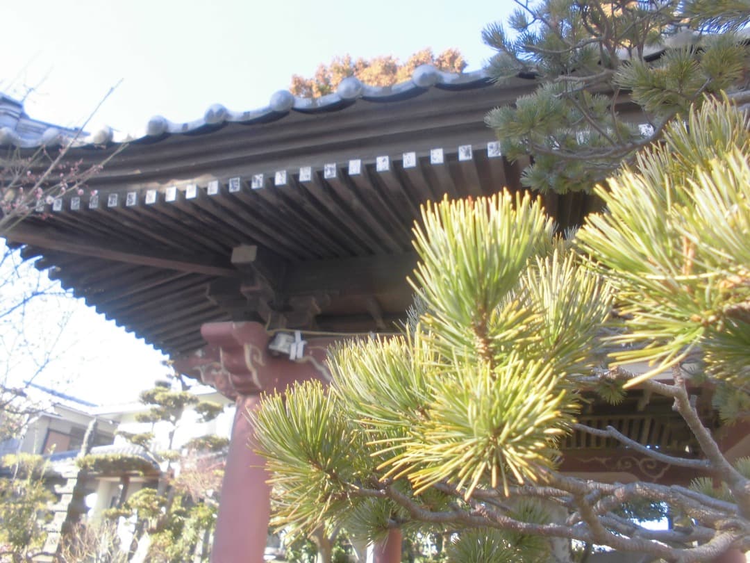 実写美⭕️【動作確認済】CASIO EXILIM EX-ZS29 デジカメ