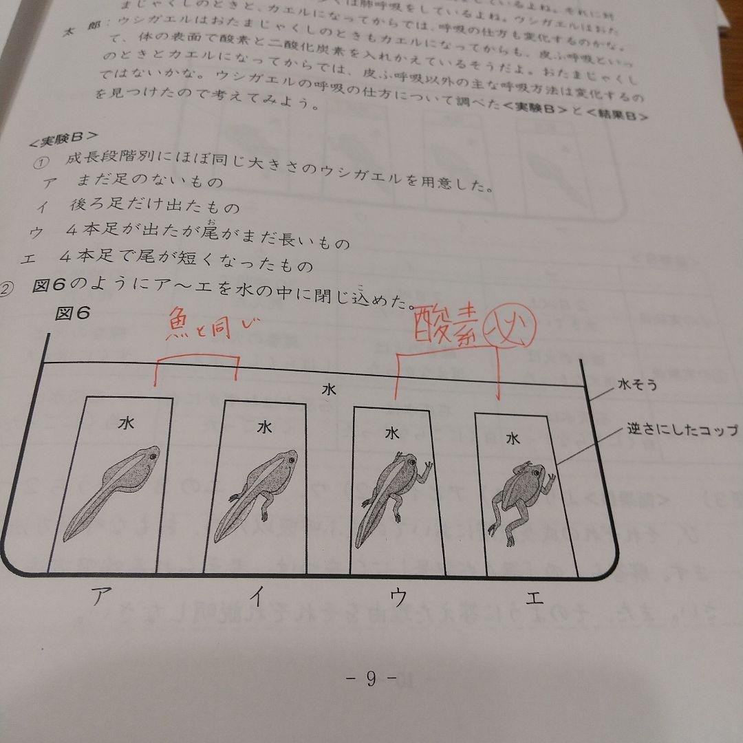 ena 小6 後期日曜特訓 富士中コース