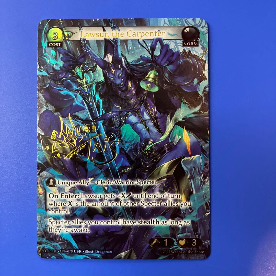 その他 Lawsur, the Carpenter CSR grand archive