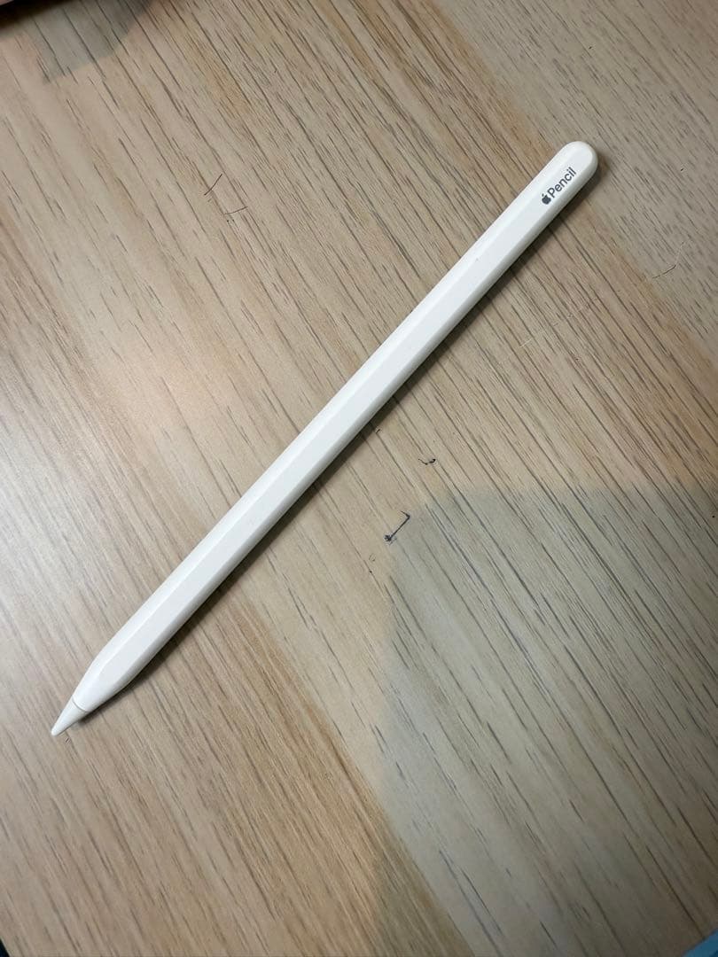 AppleiPadPro 第1世代 11インチ64GB Wi-Fiペン付き