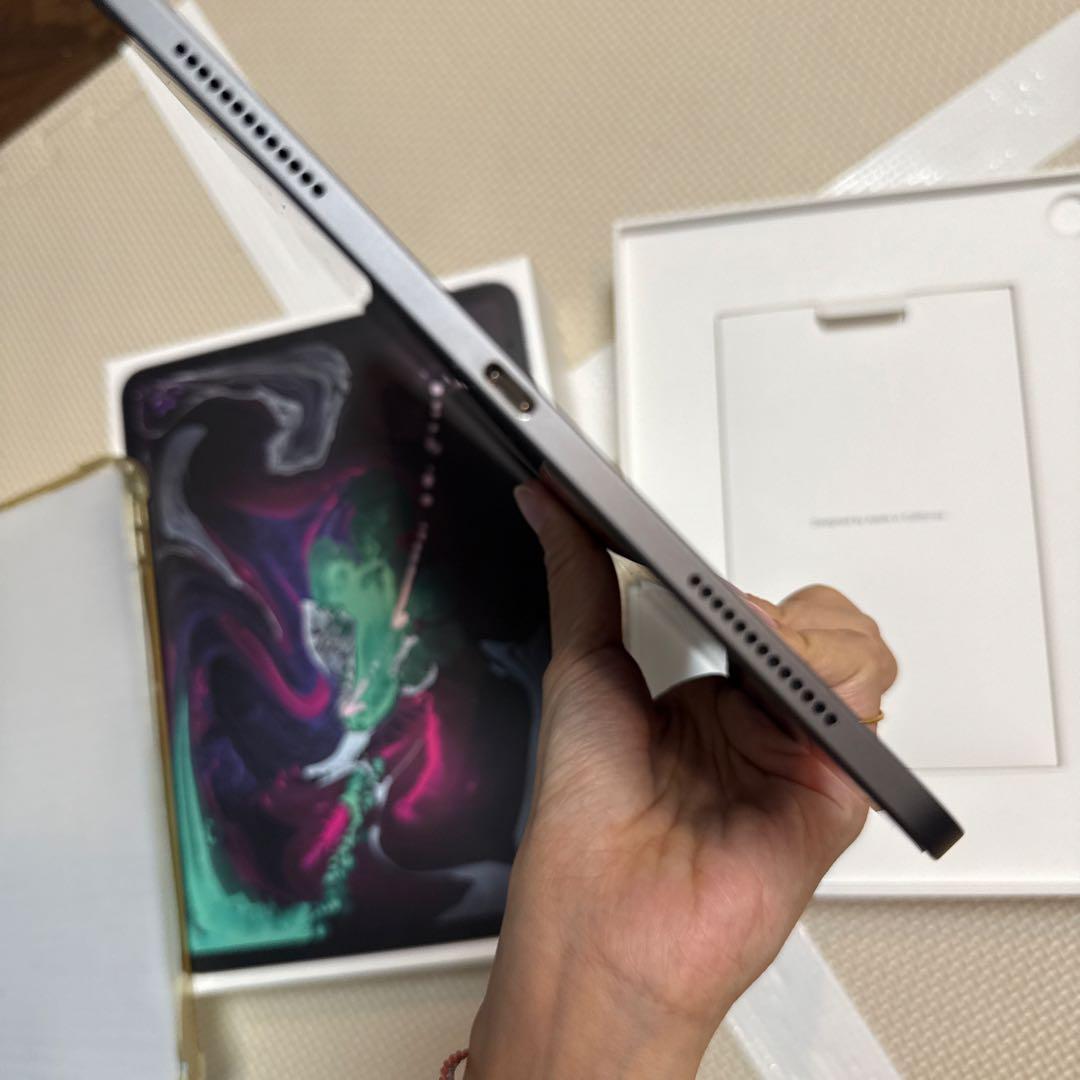 AppleiPadPro 第1世代 11インチ64GB Wi-Fiペン付き