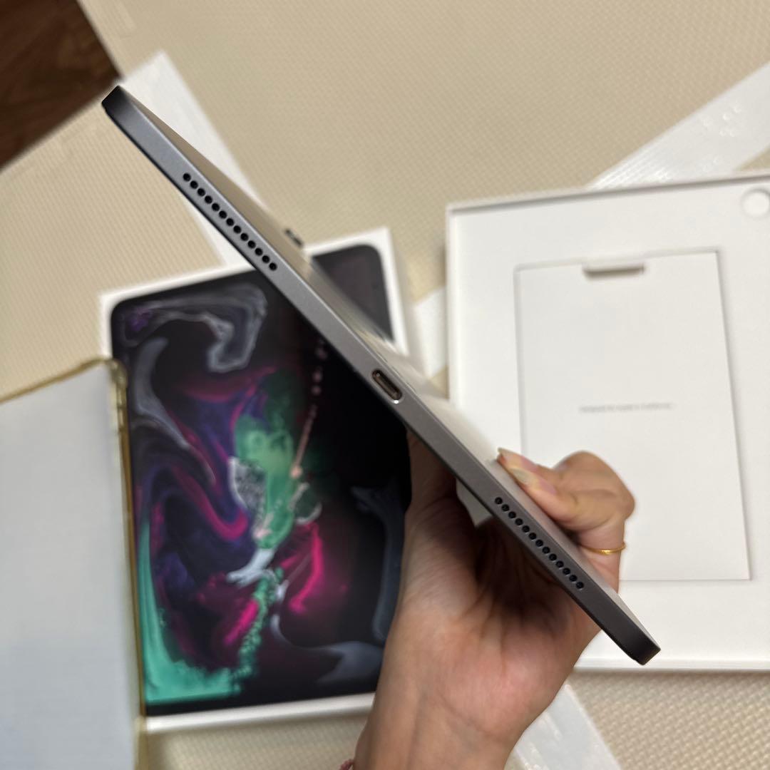 AppleiPadPro 第1世代 11インチ64GB Wi-Fiペン付き