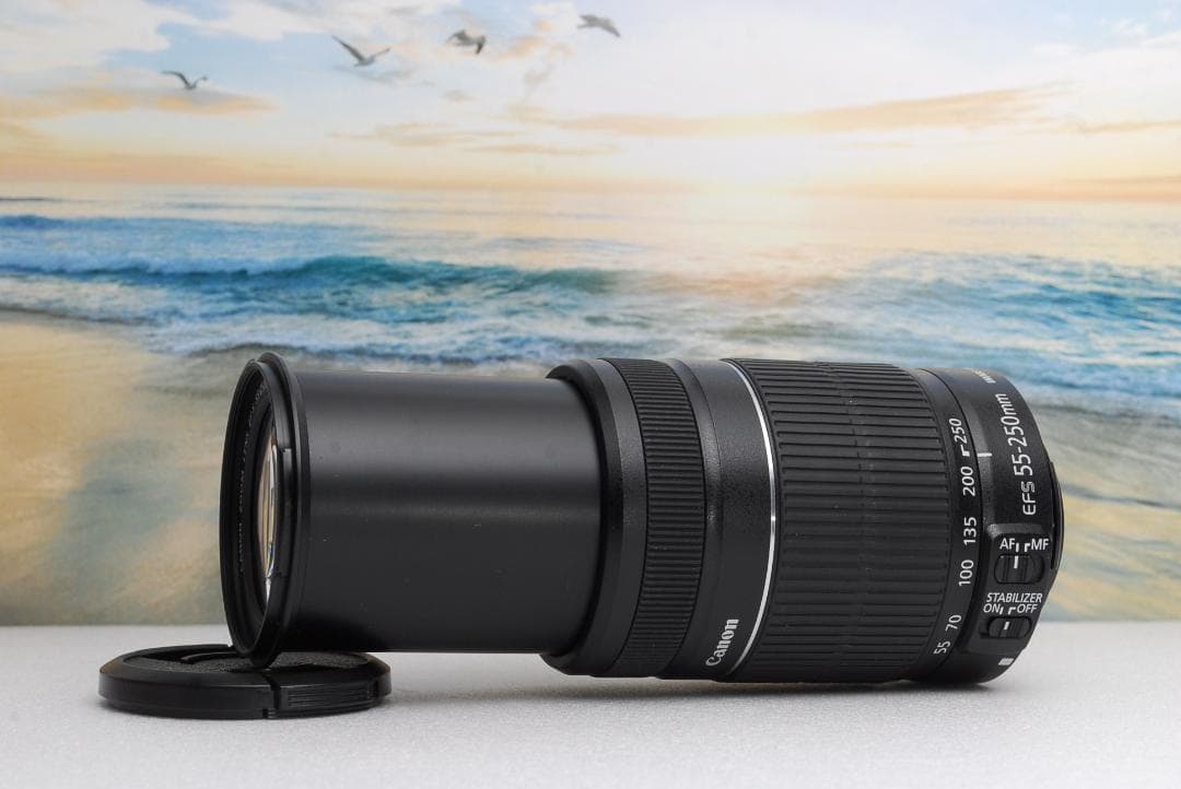 ⭐️極美品⭐️Canon純正⭐️望遠レンズ⭐️EF-S 55-250mm IS II ⭐️