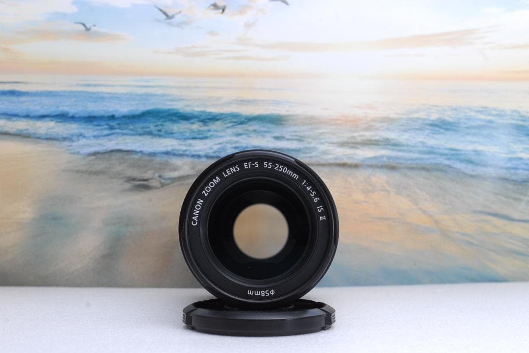 ⭐️極美品⭐️Canon純正⭐️望遠レンズ⭐️EF-S 55-250mm IS II ⭐️
