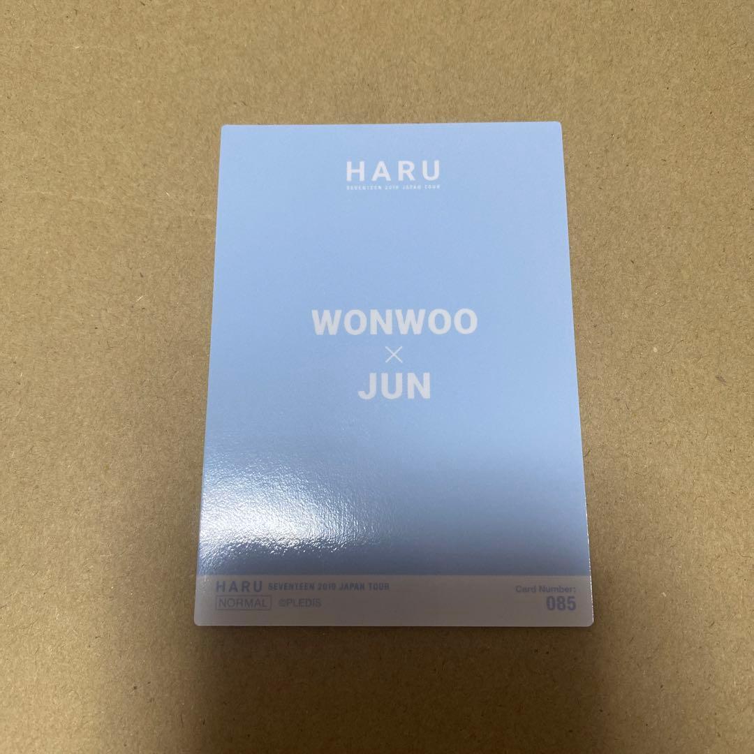 SEVENTEEN ジュン ウォヌ HARU ペアトレカ セブチ