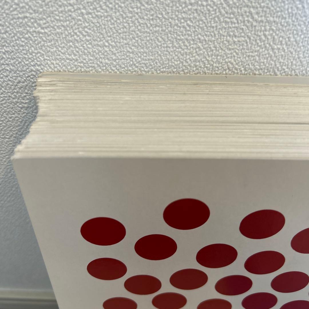 家庭保育園　ドーマン博士のドッツカード　大判ドッツカード