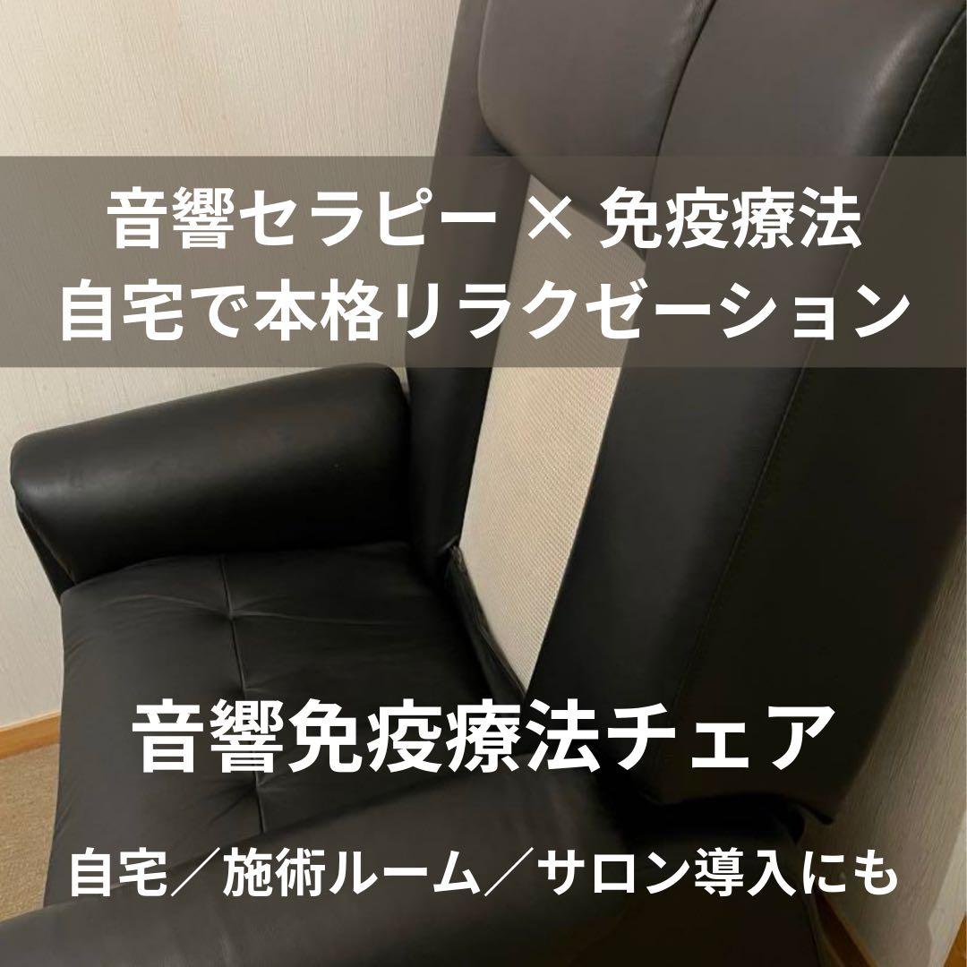 g*o様 音響免疫療法チェアー　黒 ハイバックチェア
