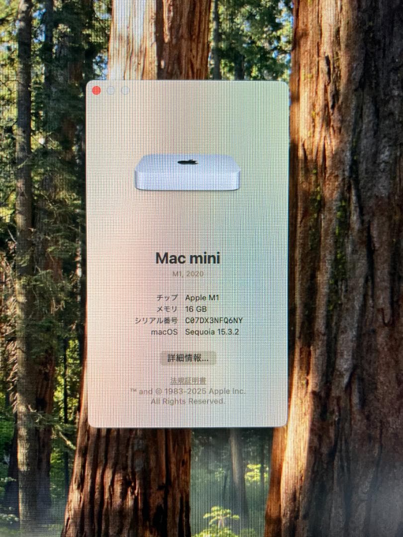 Macデスクトップ M1 Mac mini 16GB 256GB