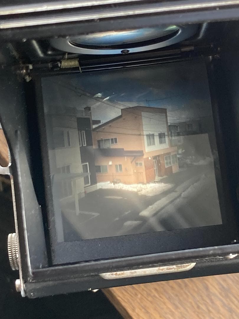 キラキラ感　春のきらめき　YASHICA ROOKIE　FOR　INTERIOR