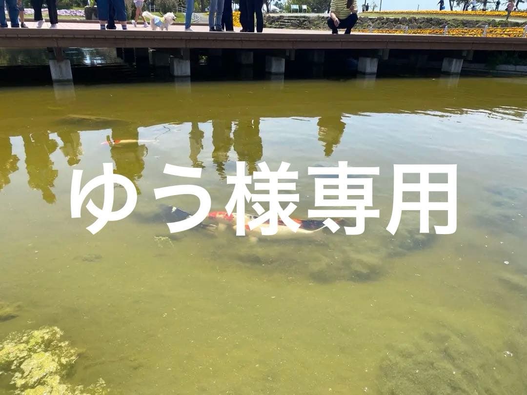 【両耳用】プラシーボピアス 701(YW) シルバー925 / 18Kポスト