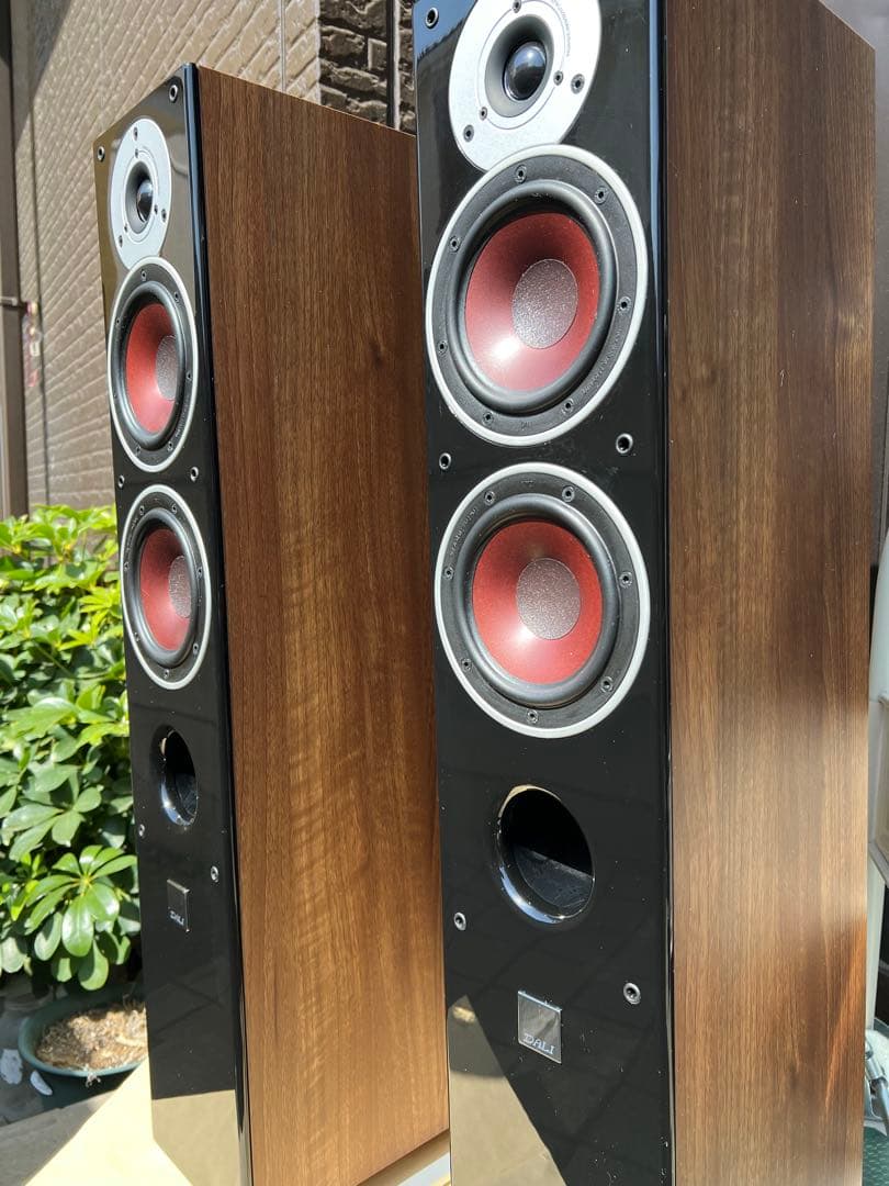 DALI ZENSOR 5 フロアスタンディングスピーカー（木目調仕上げ高品質）