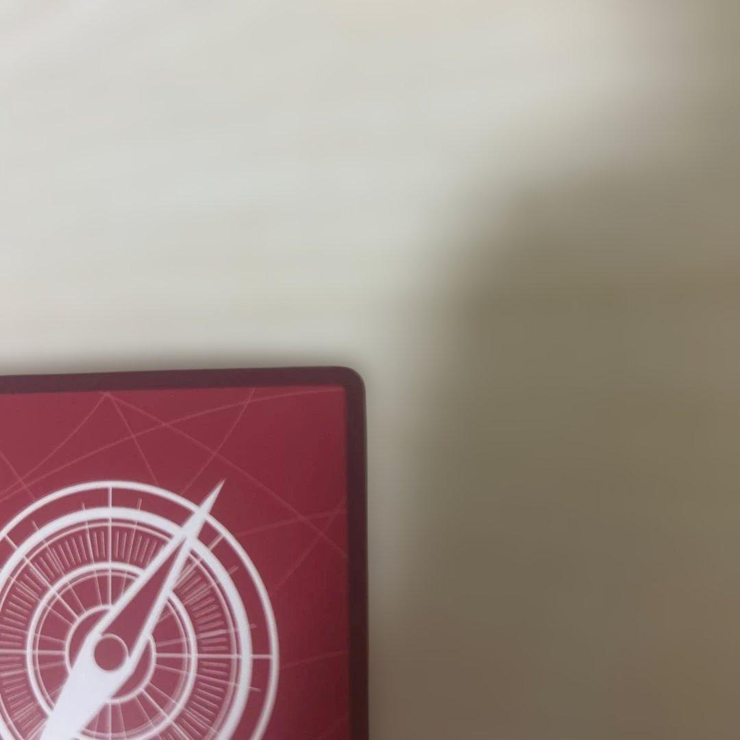 ゾロ　リーダーパラレル