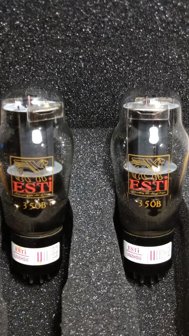 350B／6L6G.２本組、中国製