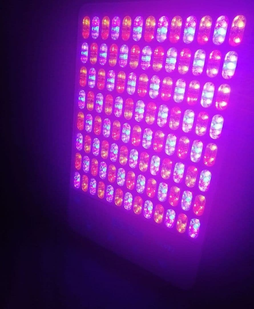 新品　VLVEE 　LED美顔器　光美容 美肌　育毛　エステ　ホームエステ